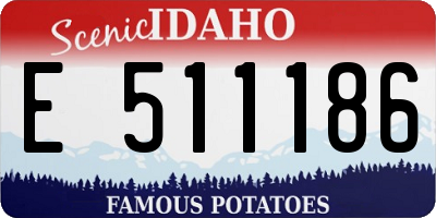 ID license plate E511186