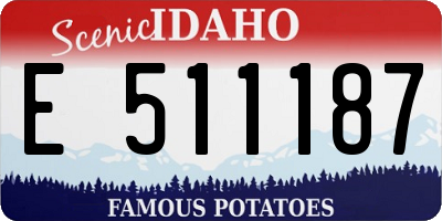 ID license plate E511187