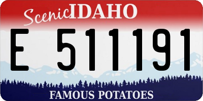 ID license plate E511191