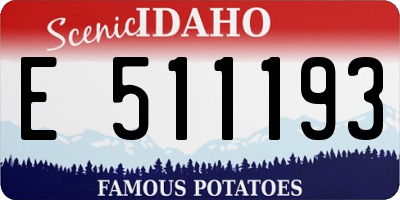 ID license plate E511193