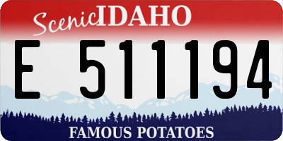 ID license plate E511194