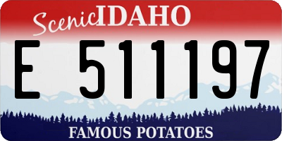 ID license plate E511197