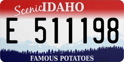 ID license plate E511198