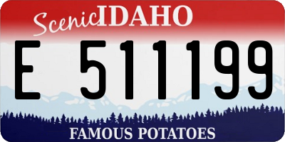ID license plate E511199