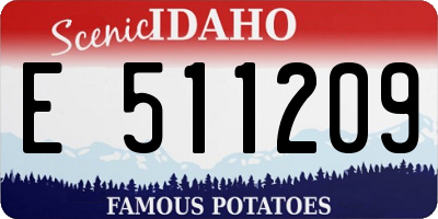 ID license plate E511209