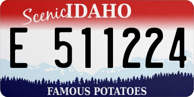 ID license plate E511224