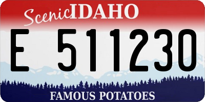 ID license plate E511230