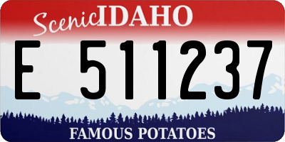 ID license plate E511237