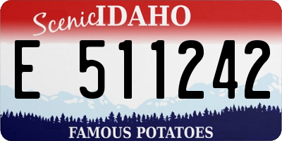 ID license plate E511242