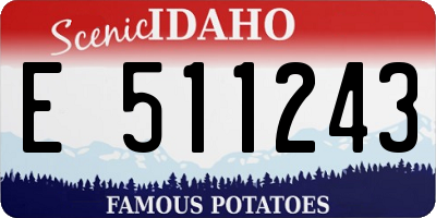 ID license plate E511243