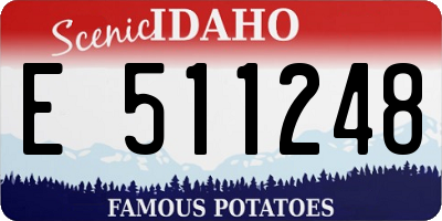 ID license plate E511248