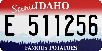 ID license plate E511256