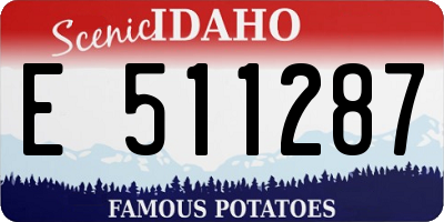 ID license plate E511287