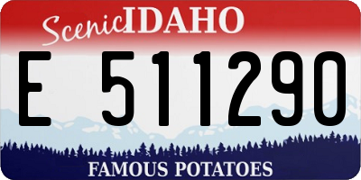 ID license plate E511290