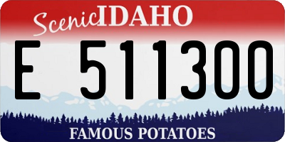 ID license plate E511300