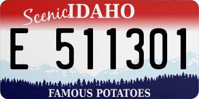ID license plate E511301