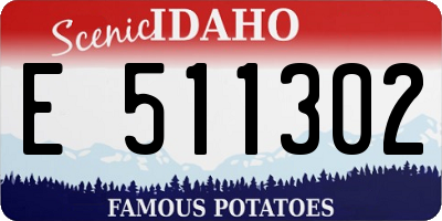 ID license plate E511302