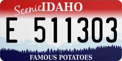 ID license plate E511303