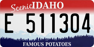 ID license plate E511304