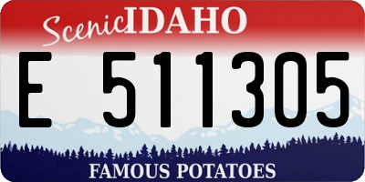 ID license plate E511305