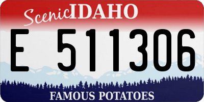 ID license plate E511306