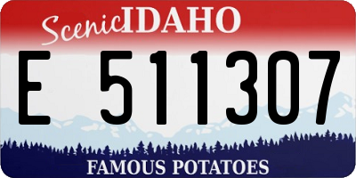 ID license plate E511307