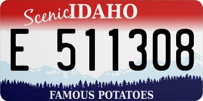 ID license plate E511308