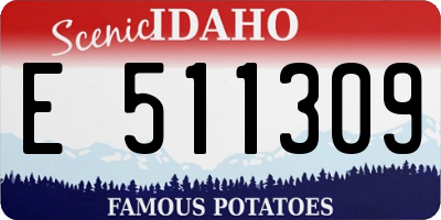 ID license plate E511309