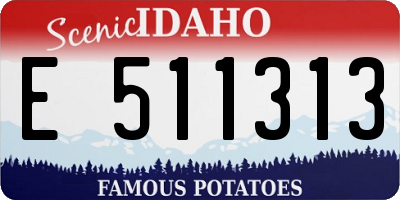 ID license plate E511313