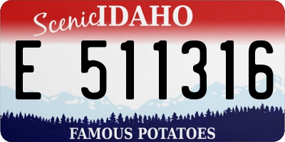 ID license plate E511316