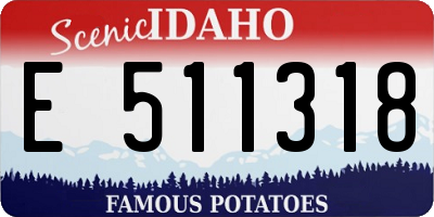 ID license plate E511318