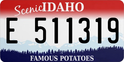 ID license plate E511319