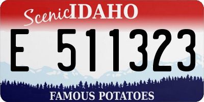ID license plate E511323