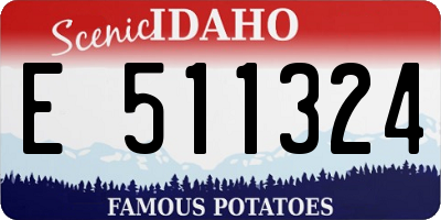 ID license plate E511324
