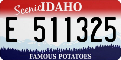 ID license plate E511325