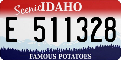 ID license plate E511328