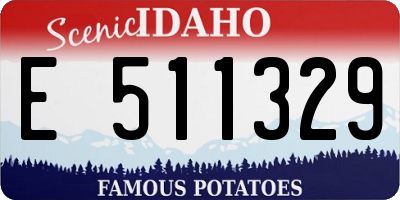 ID license plate E511329