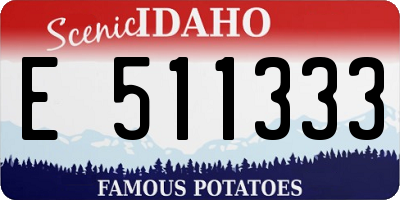 ID license plate E511333