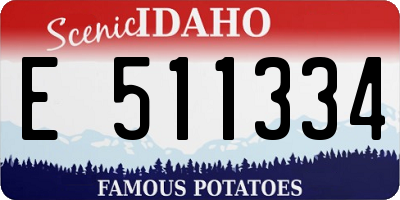 ID license plate E511334