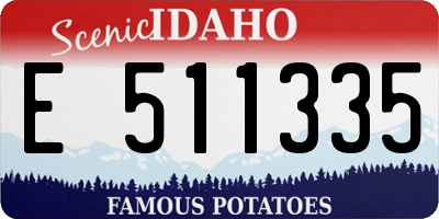 ID license plate E511335