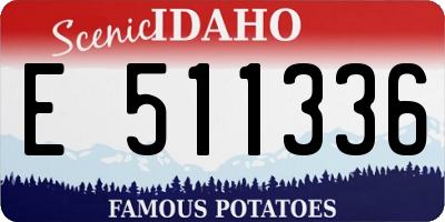 ID license plate E511336