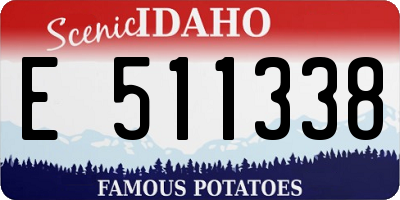 ID license plate E511338