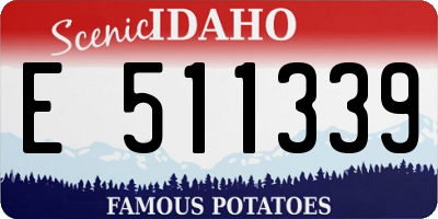 ID license plate E511339