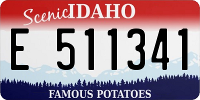 ID license plate E511341