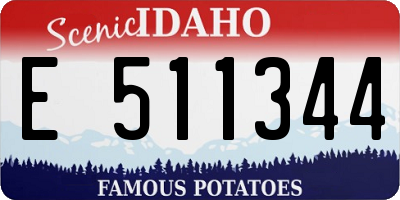 ID license plate E511344