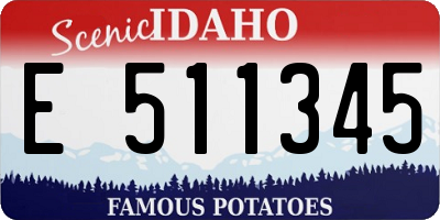 ID license plate E511345