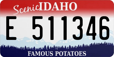 ID license plate E511346