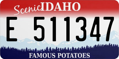 ID license plate E511347