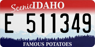 ID license plate E511349