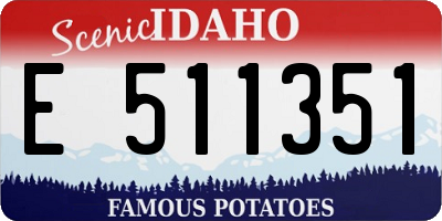 ID license plate E511351